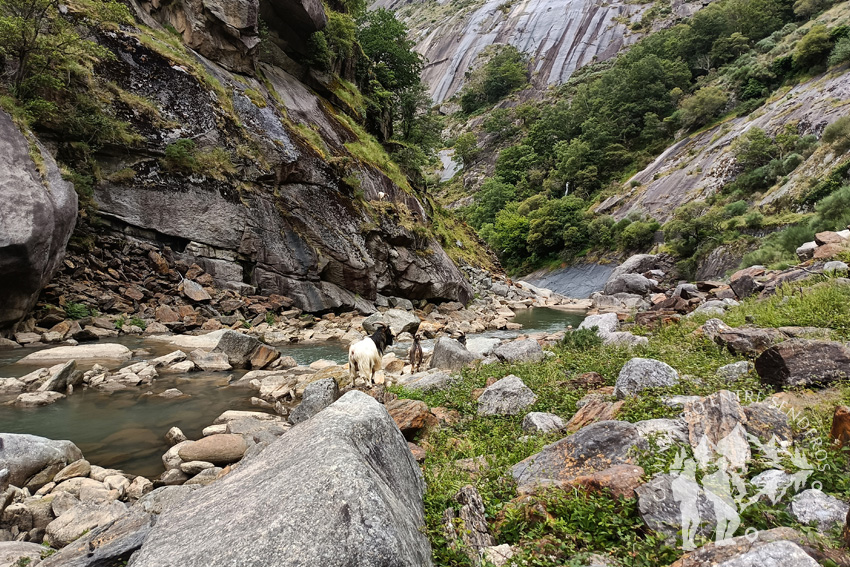Cañón del Eume