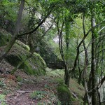 Sendero con sombra