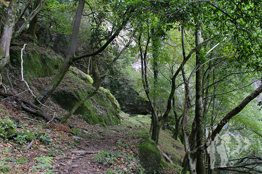 Sendero con sombra