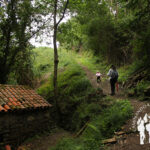 Muiño do Batán