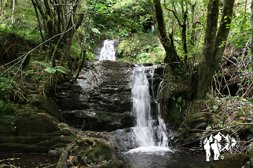 Fervenza do Beiro