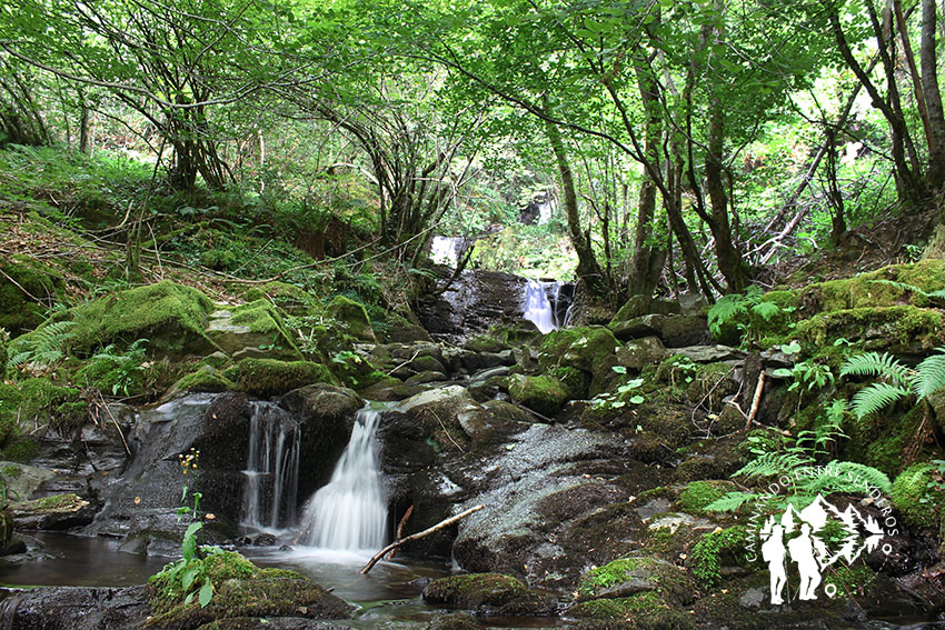 Fervenza do Beiro