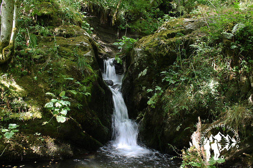 Fervenza do Beiro