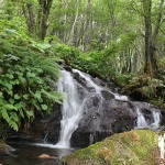 Fervenza do Beiro