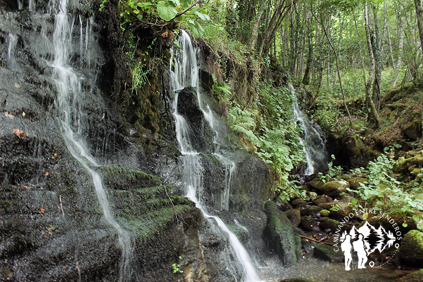 Fervenza do Beiro