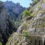 Puente de piedra