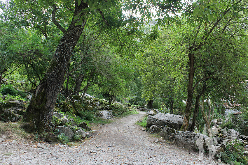 Pueblo de Bulnés