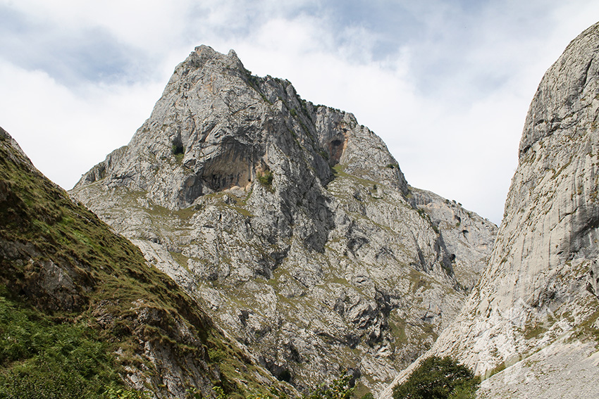 Naranjo de Bulnes