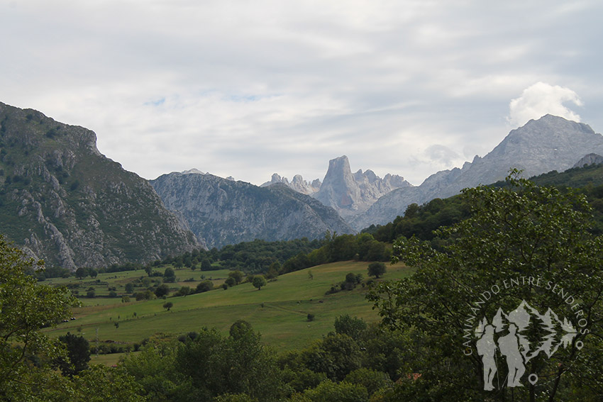 Naranjo de Bulnes (Mirador Arenas Cabrales)