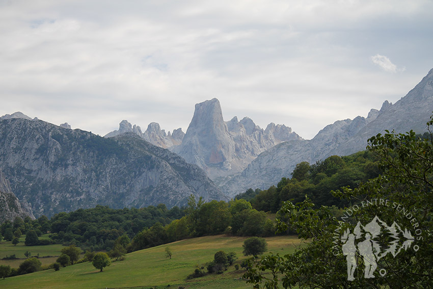 Naranjo de Bulnes (Mirador Arenas Cabrales)