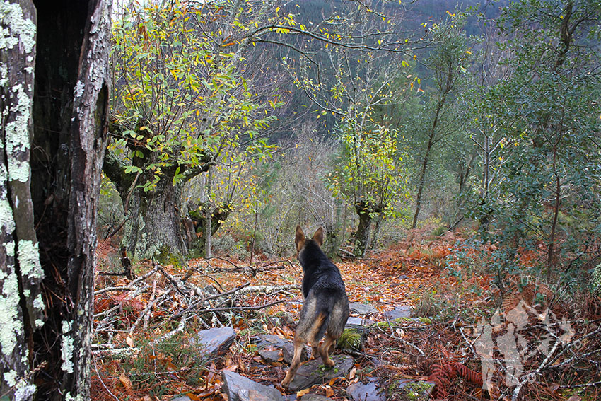 Rul observando el paisaje
