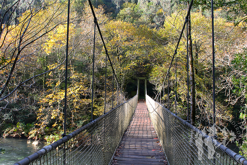 Puente colgante Cal Grande