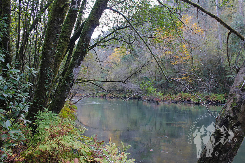 A orillas del río Eume