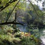 A orillas del río Eume