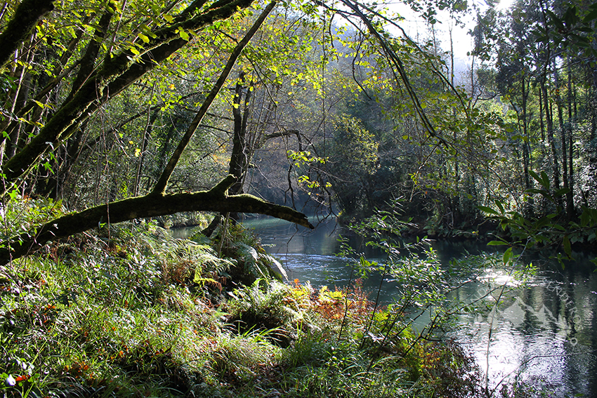 A orillas del río Eume