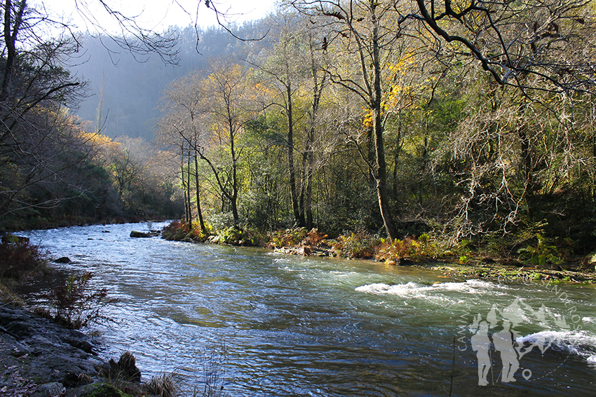 Río Eume