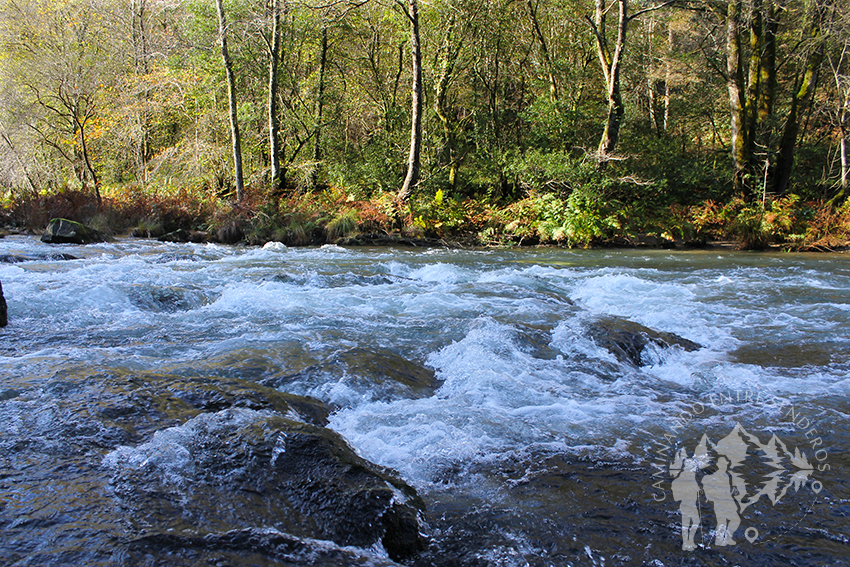 Río Eume