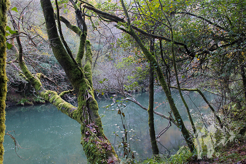 Río Eume