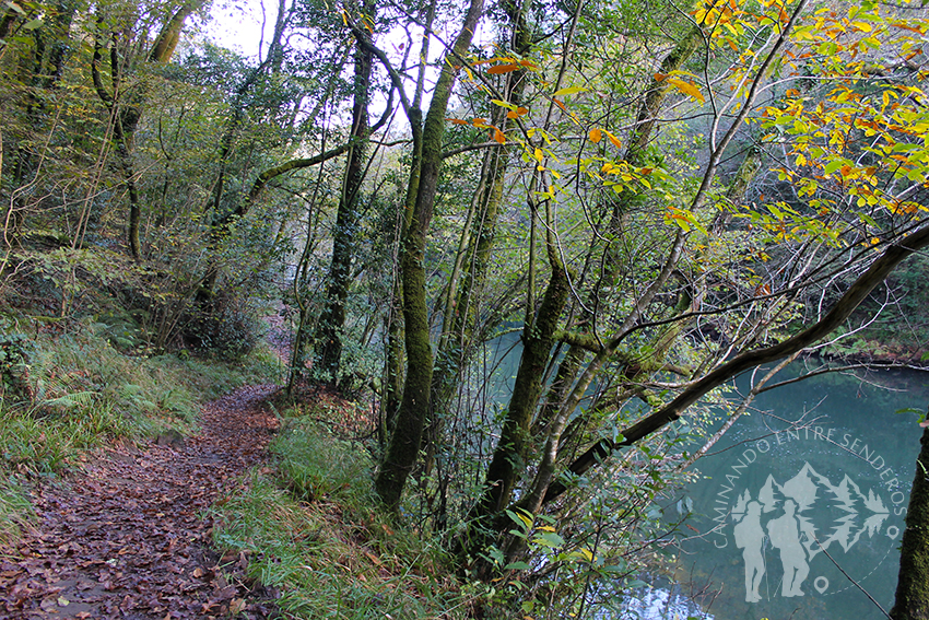 A orillas del río Eume