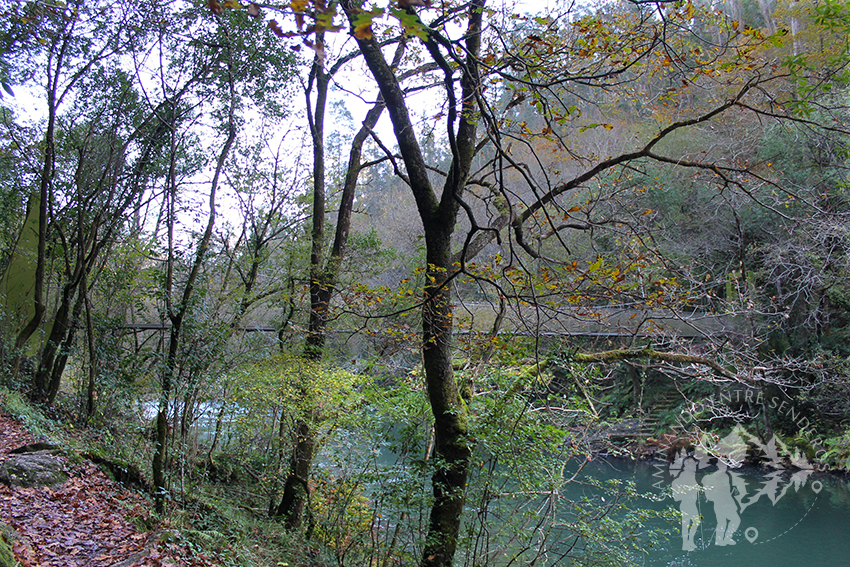 A orillas del río Eume