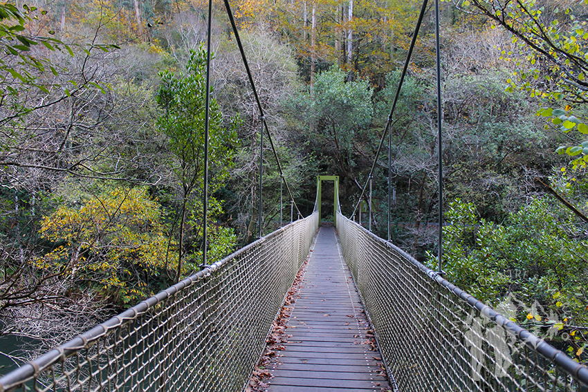 Puente colgante Fornelos