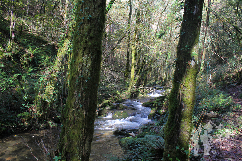 A orillas del río Eume