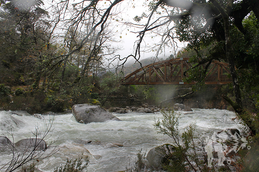 Primer Puente