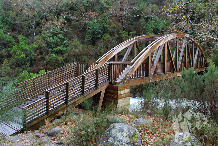 Primer Puente