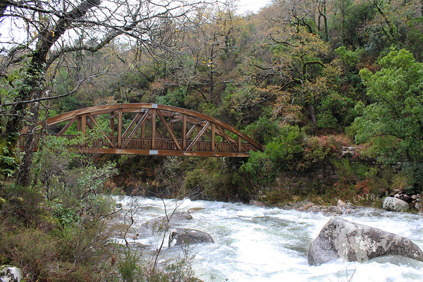 Primer Puente