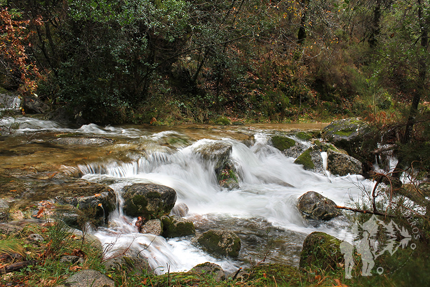 Río Homen
