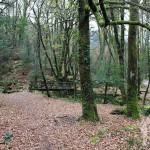 Ruta das Seis Pontes (Portugal)