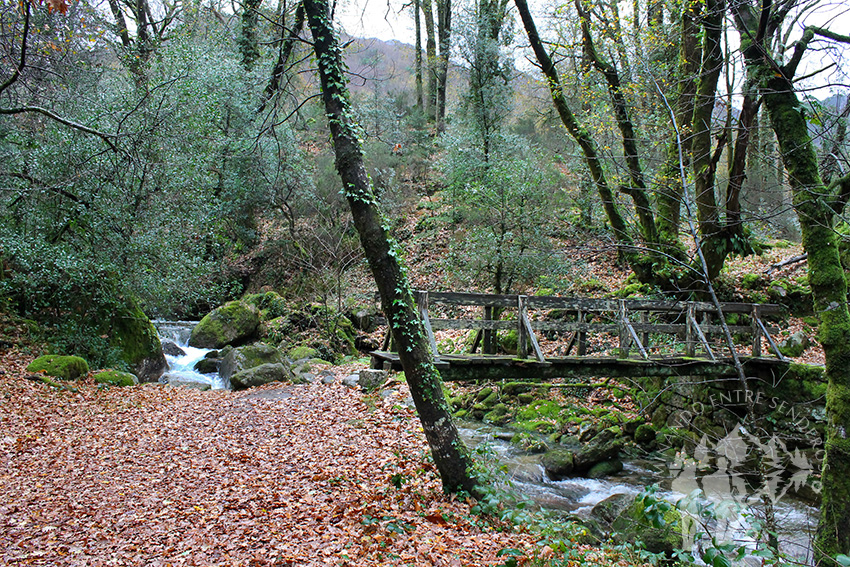 Cuarto Puente