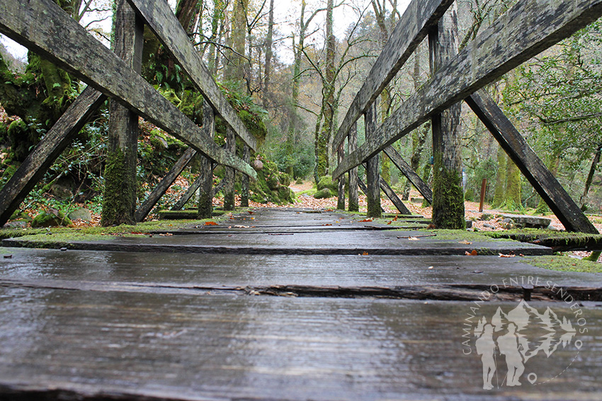 Cuarto Puente