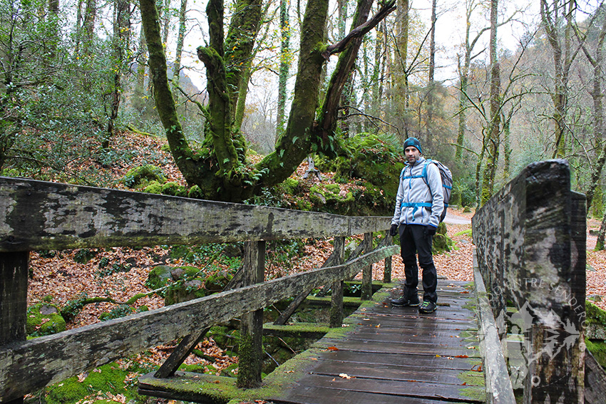 Cuarto Puente