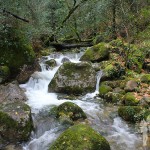 Cuarto Puente