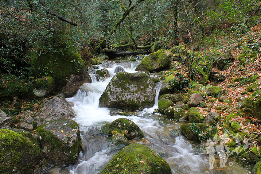 Cuarto Puente