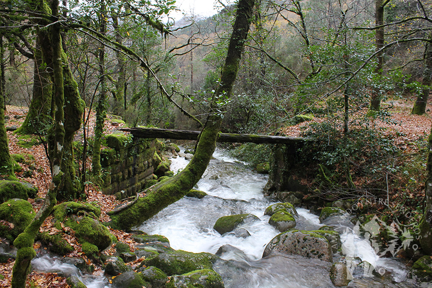 Cuarto Puente