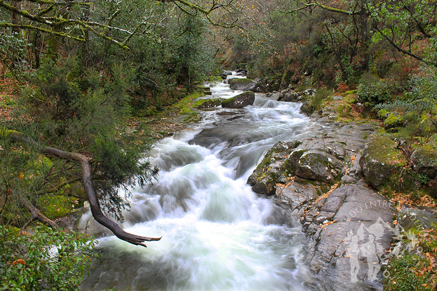 Quinto Puente