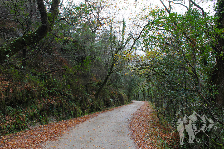 Ruta das Seis Pontes