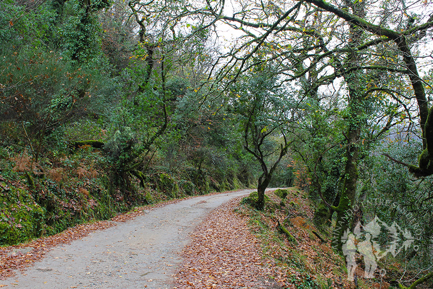 Ruta das Seis Pontes