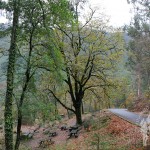 Carretera camino Mirador Pedra