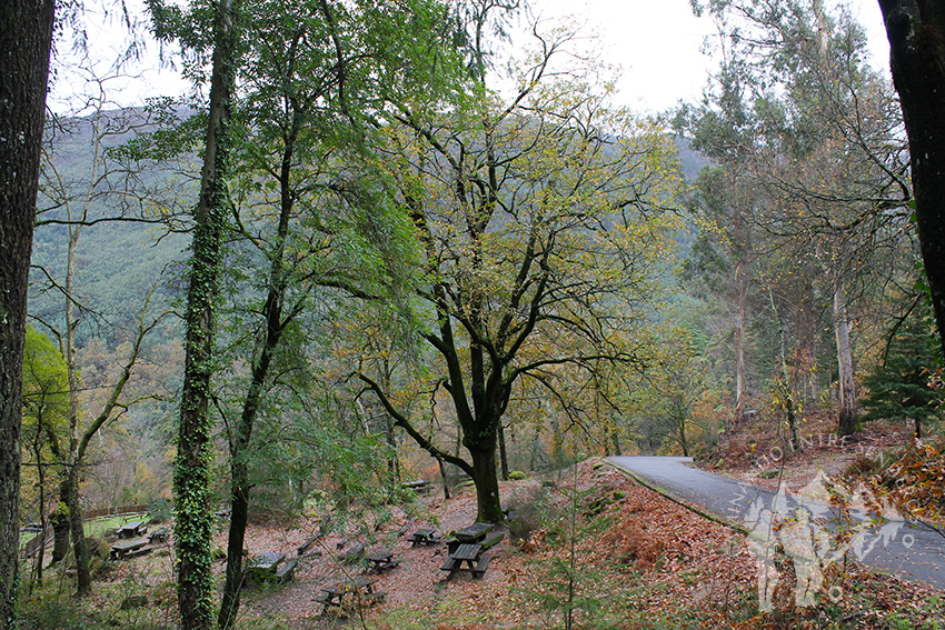 Carretera camino Mirador Pedra