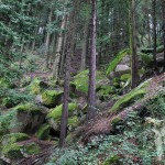 Camino Mirador Pedra