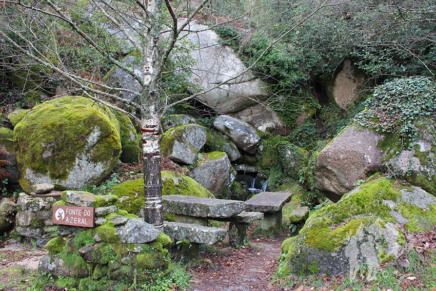 Fonte do Azeral (Pequeno Merendeiro)