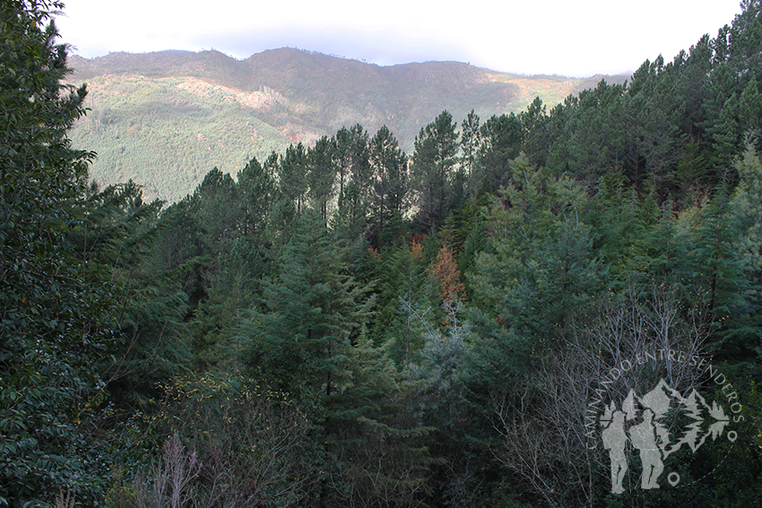 Panorámica
