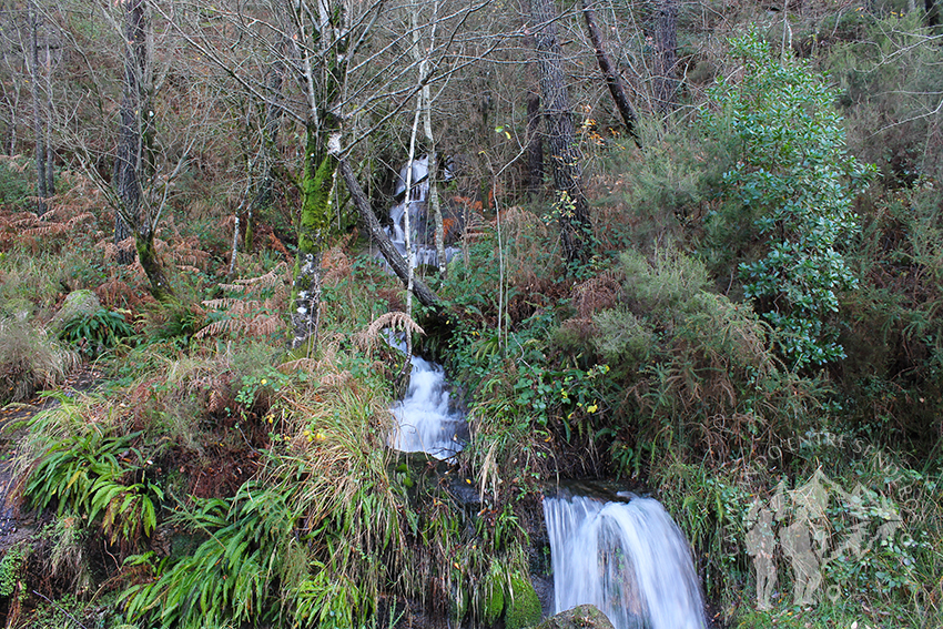 Pequeña cascada