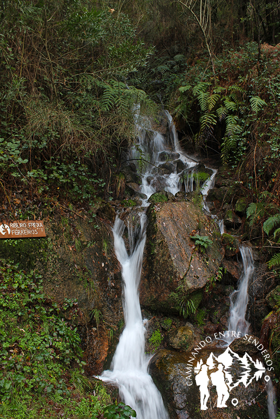 Ribeiro Freixa Ferreiros