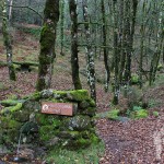 Parque de merendas Curral do Gaio