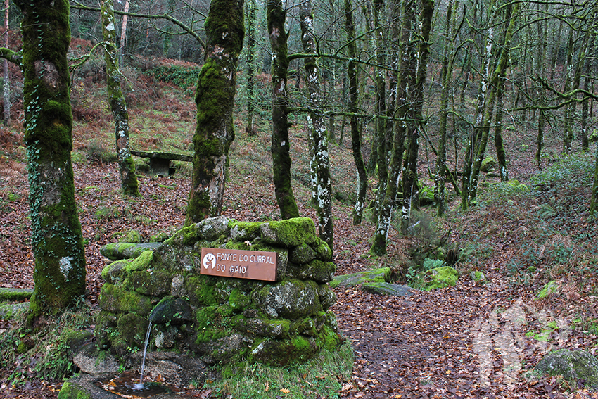 Parque de merendas Curral do Gaio