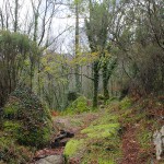 Camino Mirador Pedra Bela